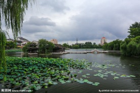 荷花池公园