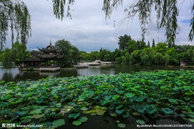 荷花池公园