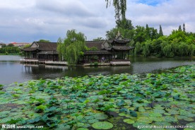 荷花池公园