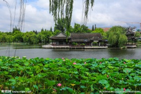 荷花池公园