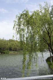 黄山湖