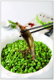 吉祥黄腊丁