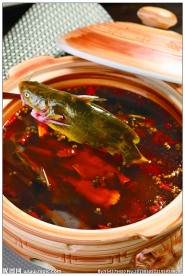 麻辣黄腊丁
