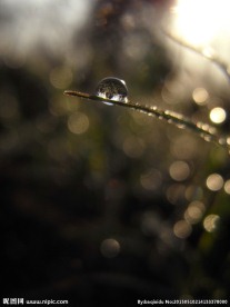 水珠摄影