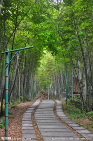 竹林小路