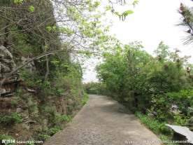 幽静小路
