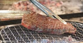 烧烤架上的烤肉