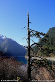 九寨沟 九寨沟风景 九寨沟风光