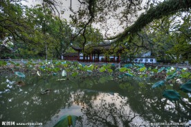 西禅寺