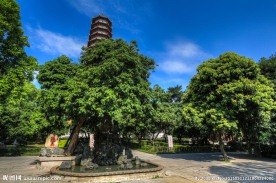 西禅寺