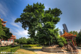 西禅寺