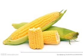 玉米