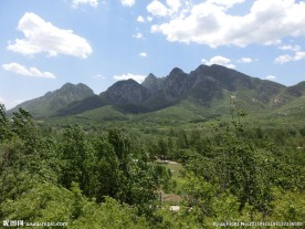 少室山初夏风景