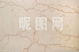 龙舌兰