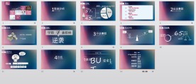 数据分析模板