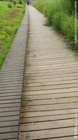 木板路