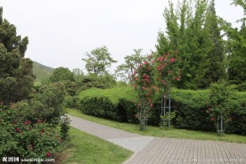 花架