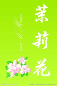 茉莉花花茶包装