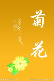 菊花花茶包装