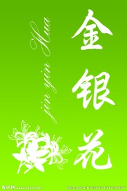 金银花花茶包装