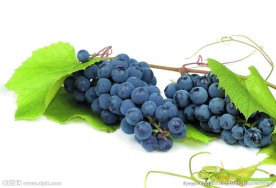 带绿叶葡萄