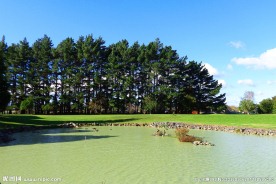 新西兰野鸭湖风景
