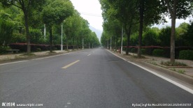 校园道路