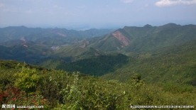 山顶风光