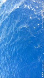 加勒比海