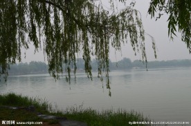 自然风景