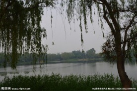 风景如画