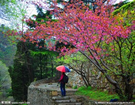泰山桃花峪