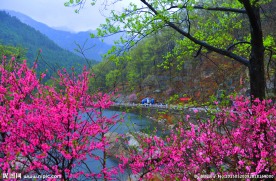 泰山桃花峪