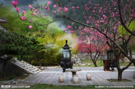 桃花源