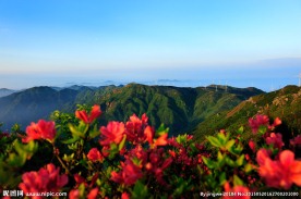 括苍山