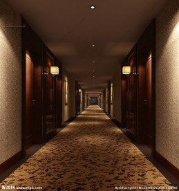 酒店走廊3d模型