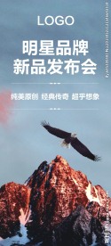 高山雄鹰