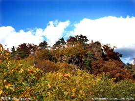 五花山