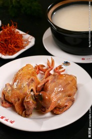 炖老鸽
