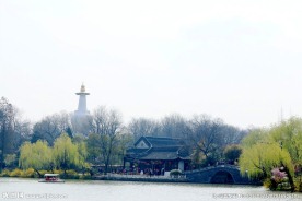 瘦西湖风光