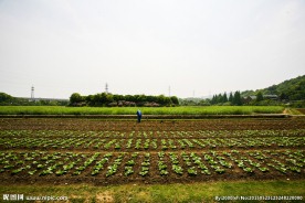 八卦田遗址公园