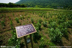 八卦田遗址公园
