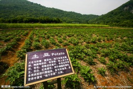 八卦田遗址公园