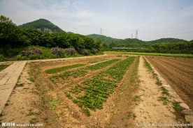 八卦田遗址公园