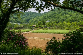 八卦田遗址公园