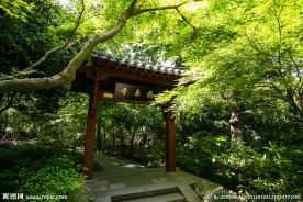 灵隐飞来峰