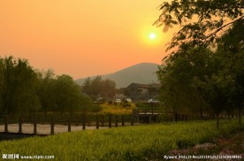 泰安湿地公园风光