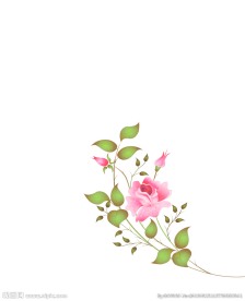 复古玫瑰花