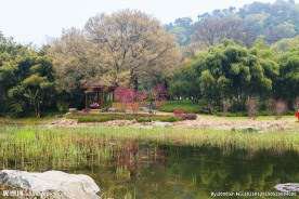 东湖风景区