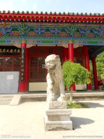 石狮图片